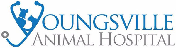 Youngsville Animal Hospital
